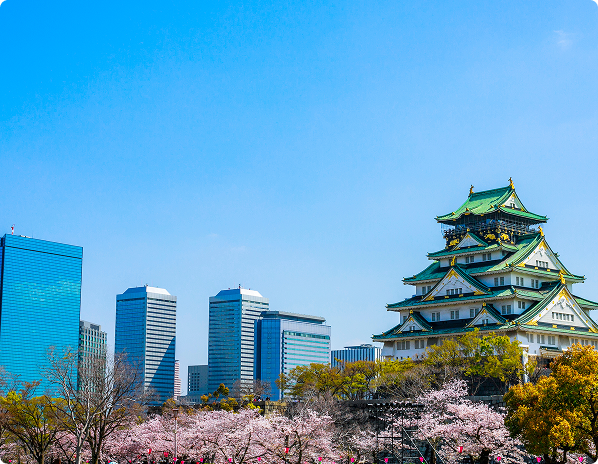 主な対応エリア